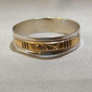 A Silver Color Ring With a Gold Band